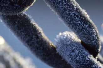MONITOREO CADENA DE FRIO Y CONSERVACIÓN DE PERECIBLES